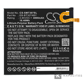 Realpower Li-Polymer akku (3,85V / 4800 mAh, Samsung EB-BT307ABY kompatibilis) Samsung Galaxy Tab A 8.4 (2020)
